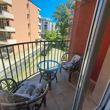 Sunny View Sunny *